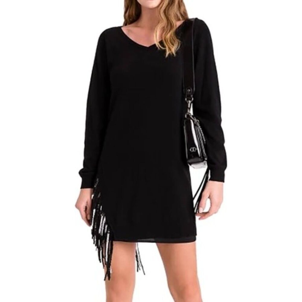NWOT Zara Fringe Dress